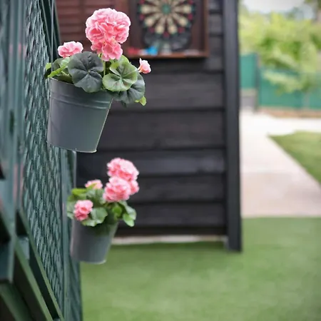 Hedera Villa *